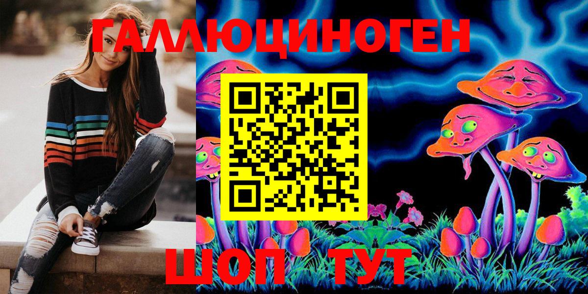 Россия  как найти закладки  Вход с VPN  Псилоцибиновые грибы Psilocybe 