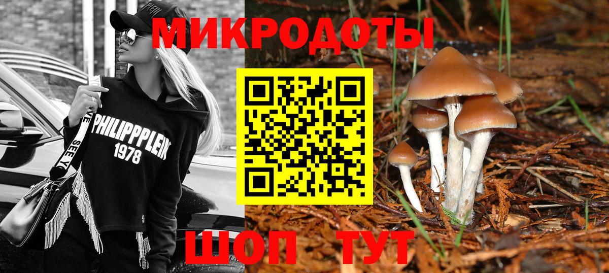 Галлюциногенные грибы GOLDEN TEACHER Россия